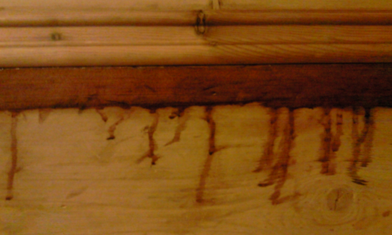 Illustration for article titled Why have my friends doors started bleeding?